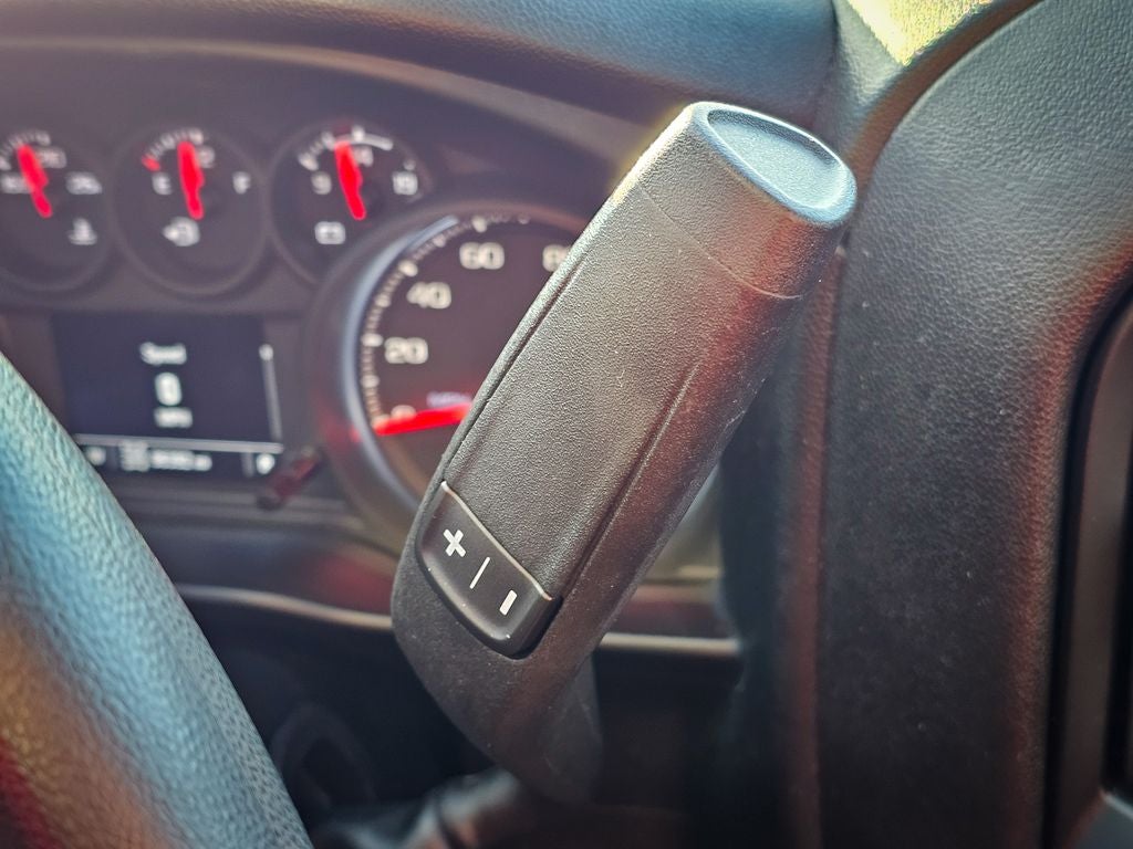 2020 Chevrolet Silverado 1500 4WD Crew Cab Short Bed Custom Trail Boss