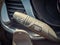 2023 Buick Envision Essence AWD