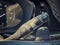 2023 Buick Envision Essence AWD
